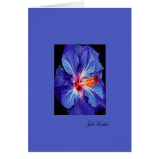 Cartão Periwinkle~Uma das cores mais Vestidas