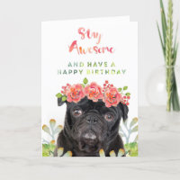 Permaneça impressionante e tenha um Pug do feliz