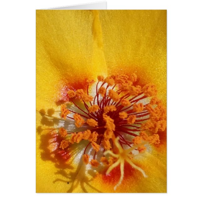 Cartão Pérolas de Flor Amarelo (Frente)