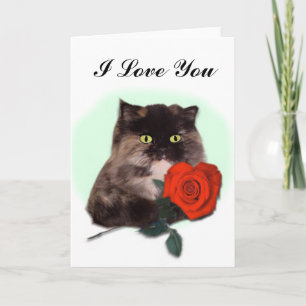 Cartão Persian Cat with Red Rose Card