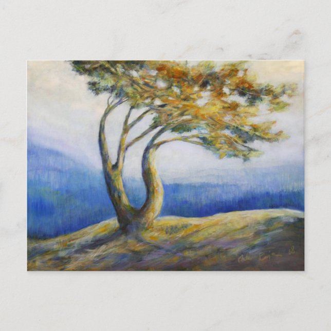 Cartão persistente (Frente)