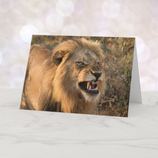 Cartão Personalização do almoço do Vamos de Leão Fresco