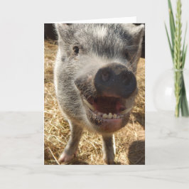 Cartão Personalizado De Saudação Do Mini Porco,
