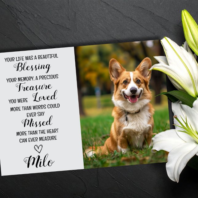 Cartão Personalizado de Simpatia Pet com Foto de P (Pet Sympathy Cards)