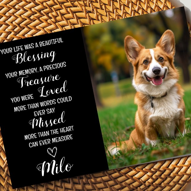 Cartão Personalizado de Simpatia Pet com Foto de P (Dog sympathy card)