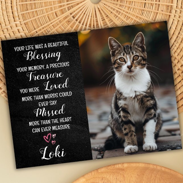 Cartão Personalizado de Simpatia por Gato com Foto (cat sympathy card)