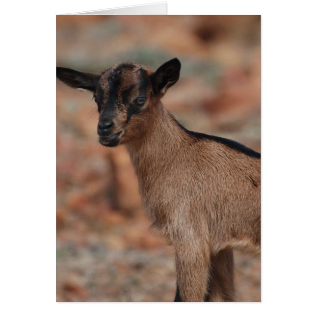 Cartão Personalizar produto (Frente)