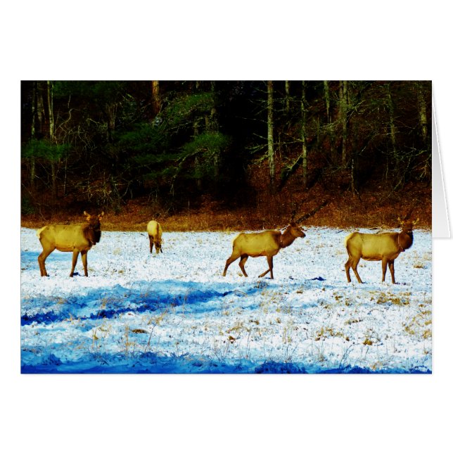 Cartão Personalizar produto (Frente Horizontal)