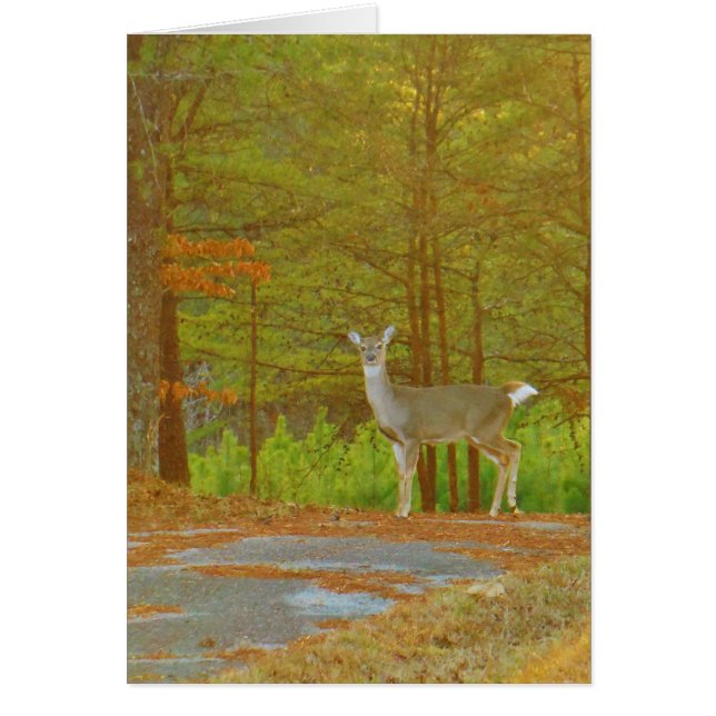 Cartão Personalizar produto (Frente)