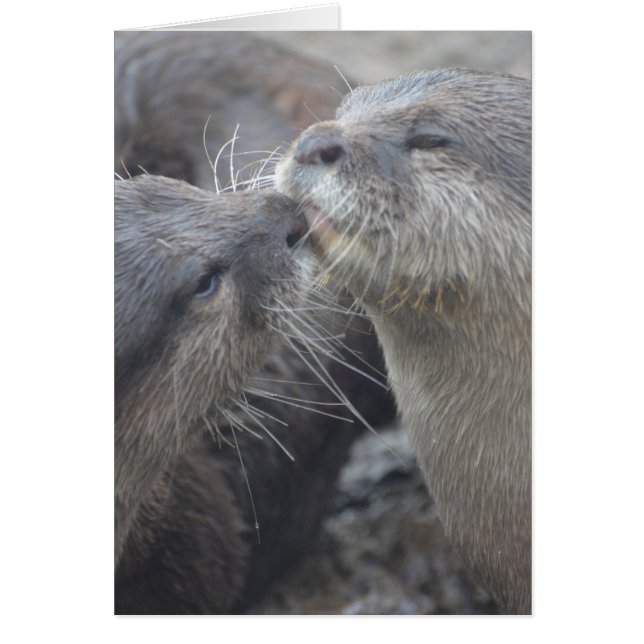 Cartão Personalizar produto (Frente)