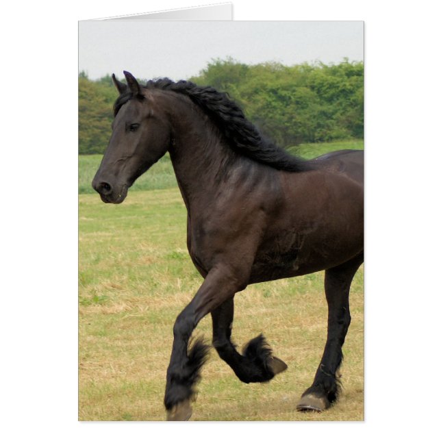 Cartão Personalizar produto (Frente)