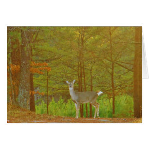 Cartão Personalizar produto