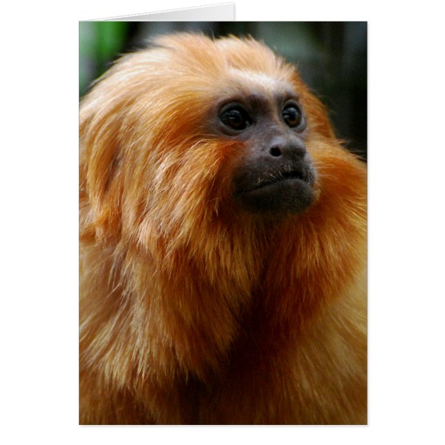 Cartão Personalizar produto (Frente)