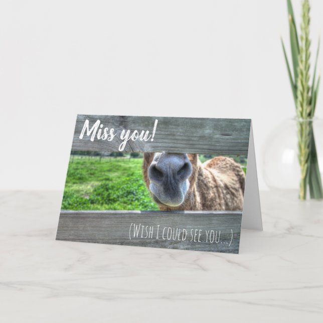 Cartão Personalizar Senhorita Você Gostaria De Vê-Lo Vazi (Frente)