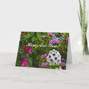 CARTÃO PERSONALIZÁVEL, "COMO VOCÊ ESTÁ?"/RHODO