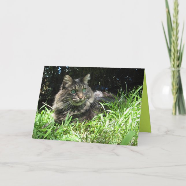 Cartão Personalizável de Gatinho Maine Coon Fofo (Frente)