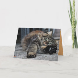 Cartão Personalizável de Gatinho Maine Coon Fofo