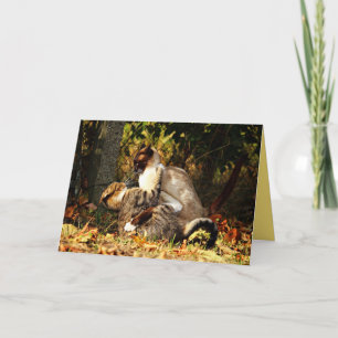 Cartão Personalizável de Gatinho Siamês Fofo