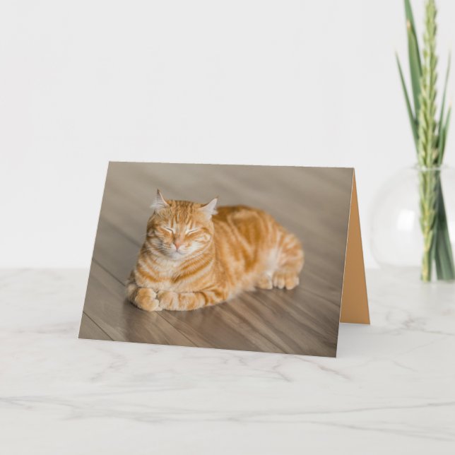 Cartão Personalizável do Gatinho Laranja Fofo (Frente)