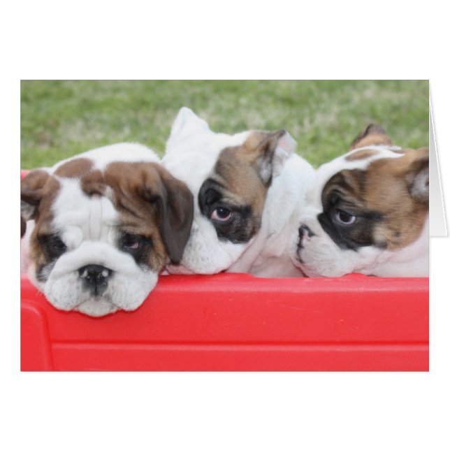 Cartão personalizável Puppy Love (Frente Horizontal)