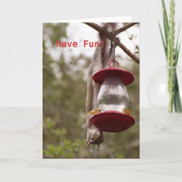 Cartão Personalize o esquilo de cabeça para baixo no alim