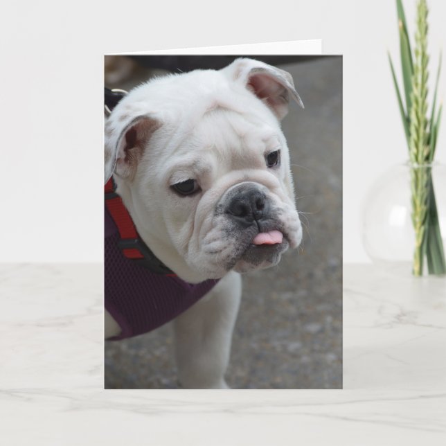 Cartão Personalize o produto (Frente)