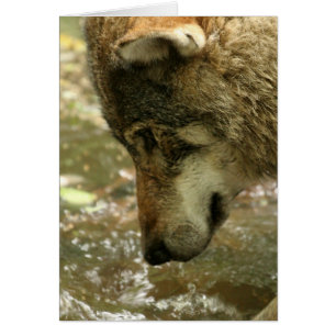 Cartão Personalize o produto