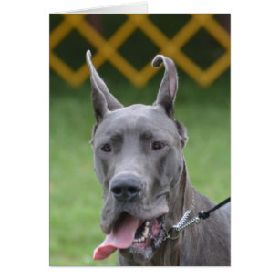 Cartão Personalize o produto