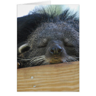 Cartão Personalize o produto