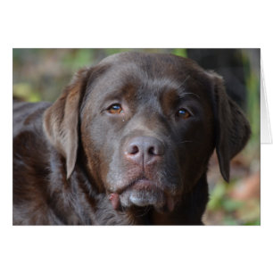 Cartão Personalize o produto