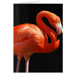 Cartão Personalize o produto