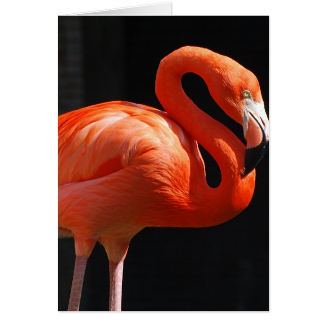 Cartão Personalize o produto (Frente)