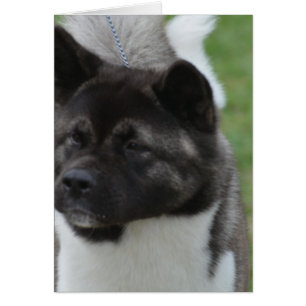 Cartão Personalize o produto