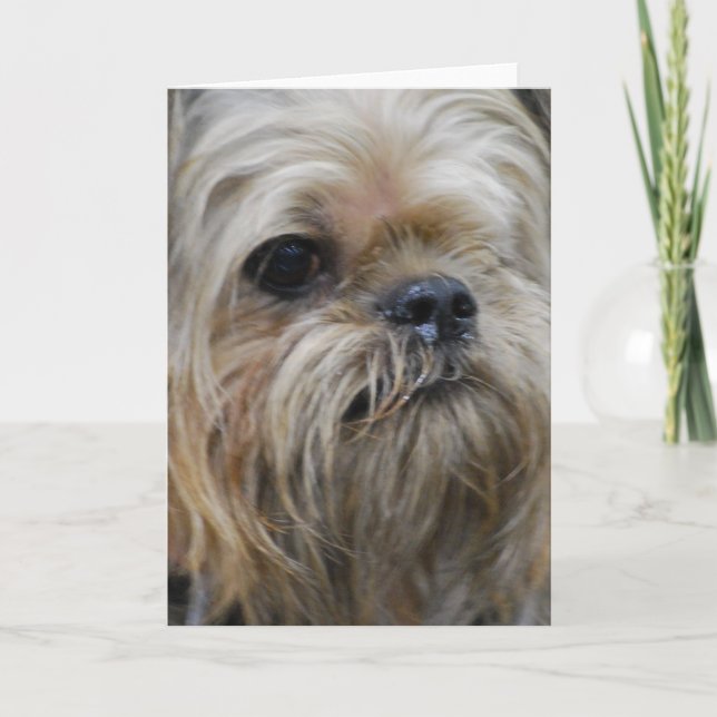 Cartão Personalize o produto (Frente)