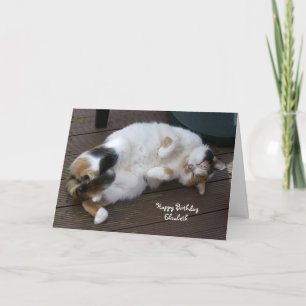 Cartão Personalized Calico cat curled up decking Birthday