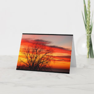 Cartão Pertencemos À Mesma Família De Humor De Aniversári