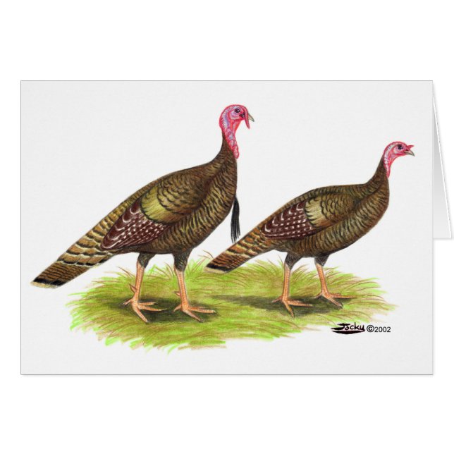 Cartão Peru:  Bronze Selvagem (Frente Horizontal)
