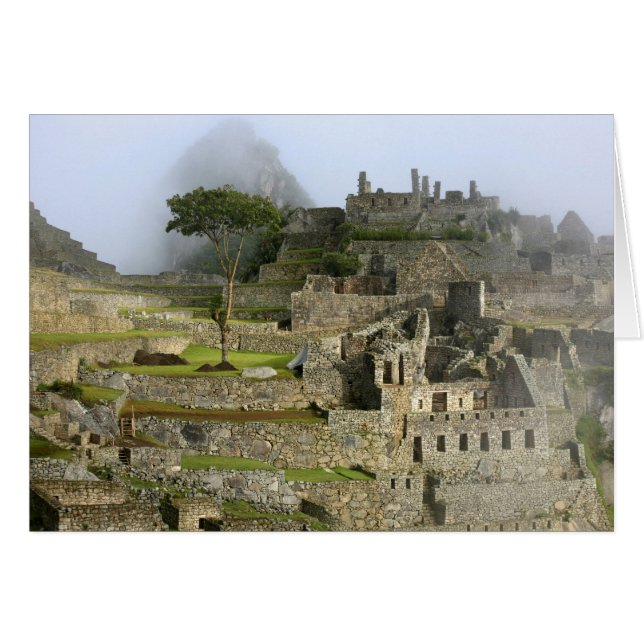 Cartão Peru, Machu Picchu. A antiga cidadela de (Frente Horizontal)