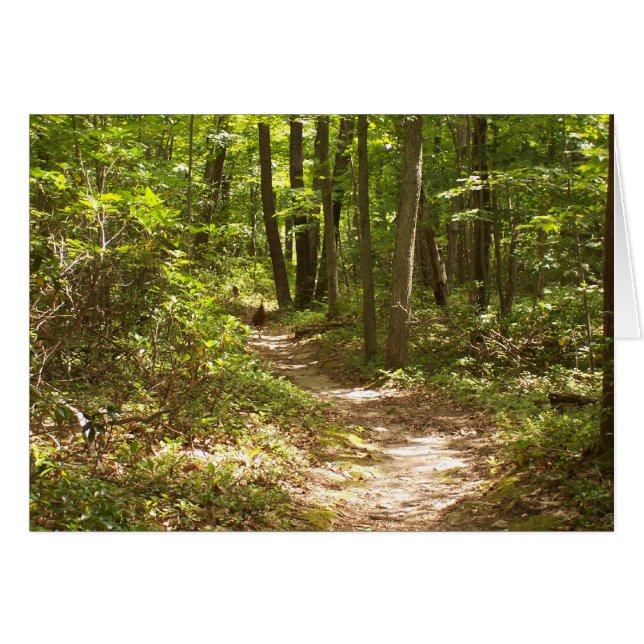 Cartão perus do trilho appalachiano (Frente horizontal)
