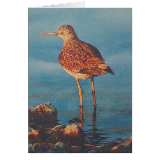 Cartão Pés amarelos (Frente)