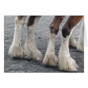 Cartão Pés com penas (Dentro de Vazio)