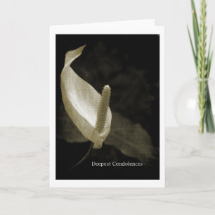 Cartão Pêsames Profundos