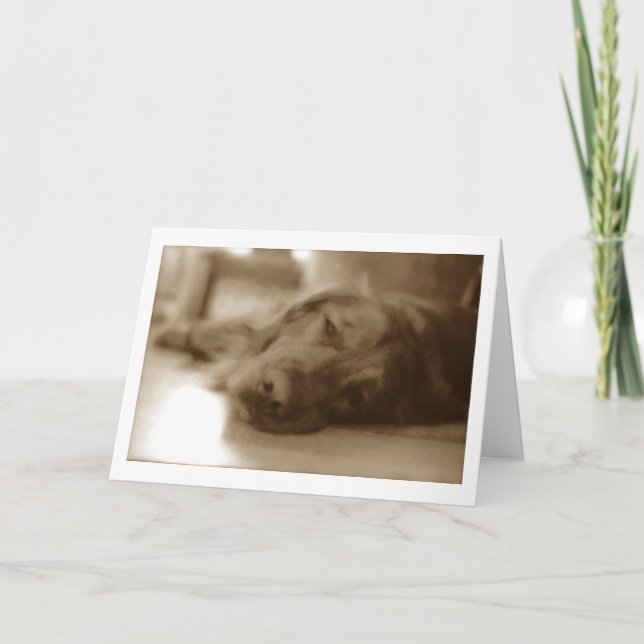 Cartão pesaroso (Frente)