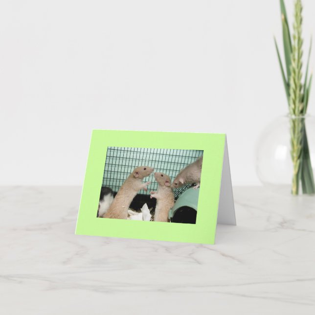 Cartão pesaroso (Frente)