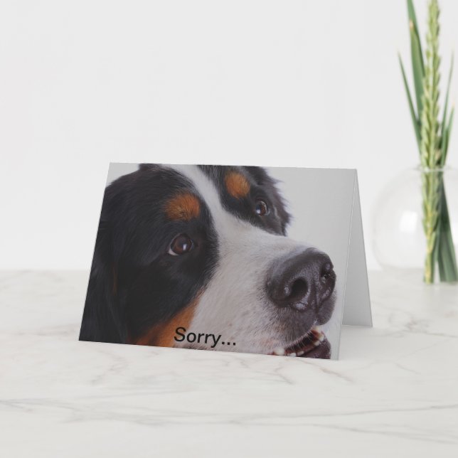 Cartão Pesaroso, você perdeu seu animal de estimação (Frente)