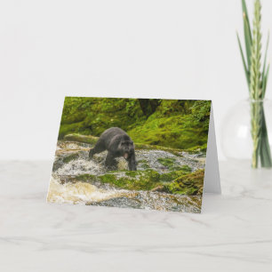 Cartão Pesca com Urso Negro Qua Creek British Columbia