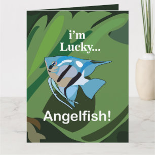Cartão Pesca de Angelfish Água fresca Tropical Aquarium