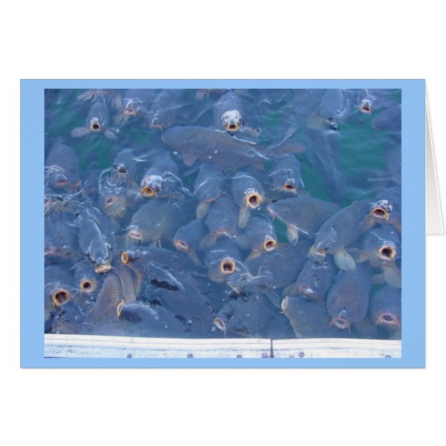 Cartão Pesca do hidromel do lago (Frente Horizontal)