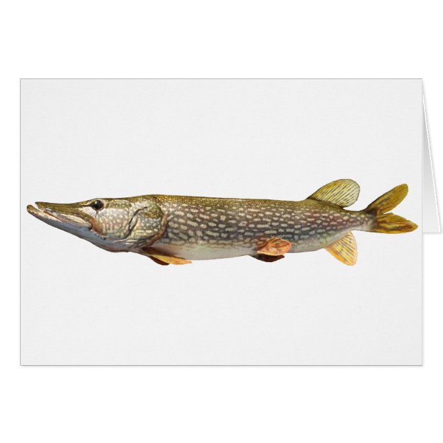 Cartão Pesca Pike Muski (Frente Horizontal)