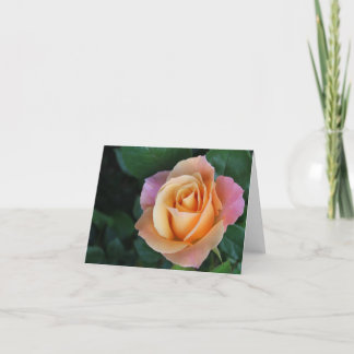 Cartão Pêssego Notecard cor-de-rosa